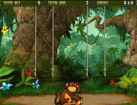 Бонус игра в Crazy Monkey 2